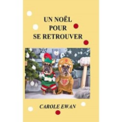 Un Noël pour se retrouver